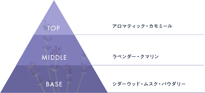 ラベンダーピラミッド図