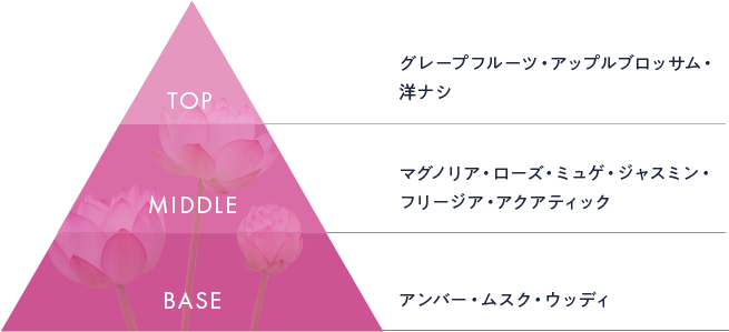 ロータスピラミッド図