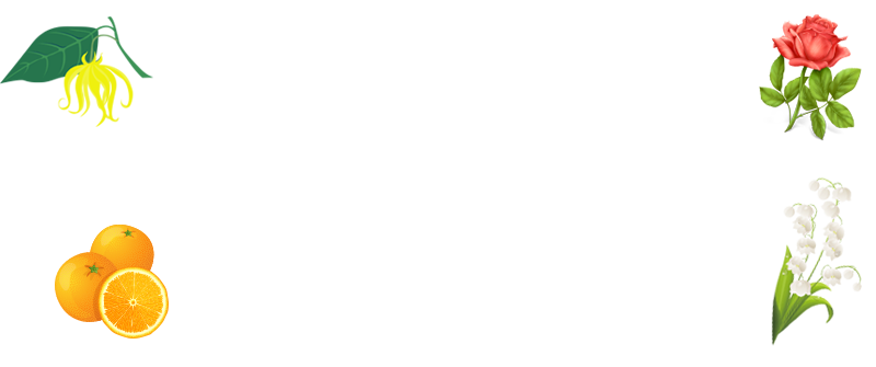 ヨーロッパを中心に世界から集められた豊富な素材のコラボレーションから作られています。