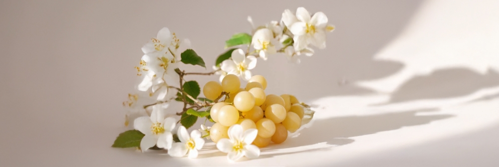 シャルドネジャスミン