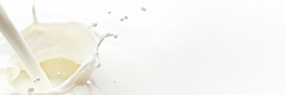 新商品・限定アイテム