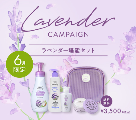 ラベンダー堪能セット