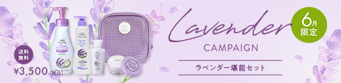 ラベンダー堪能セット