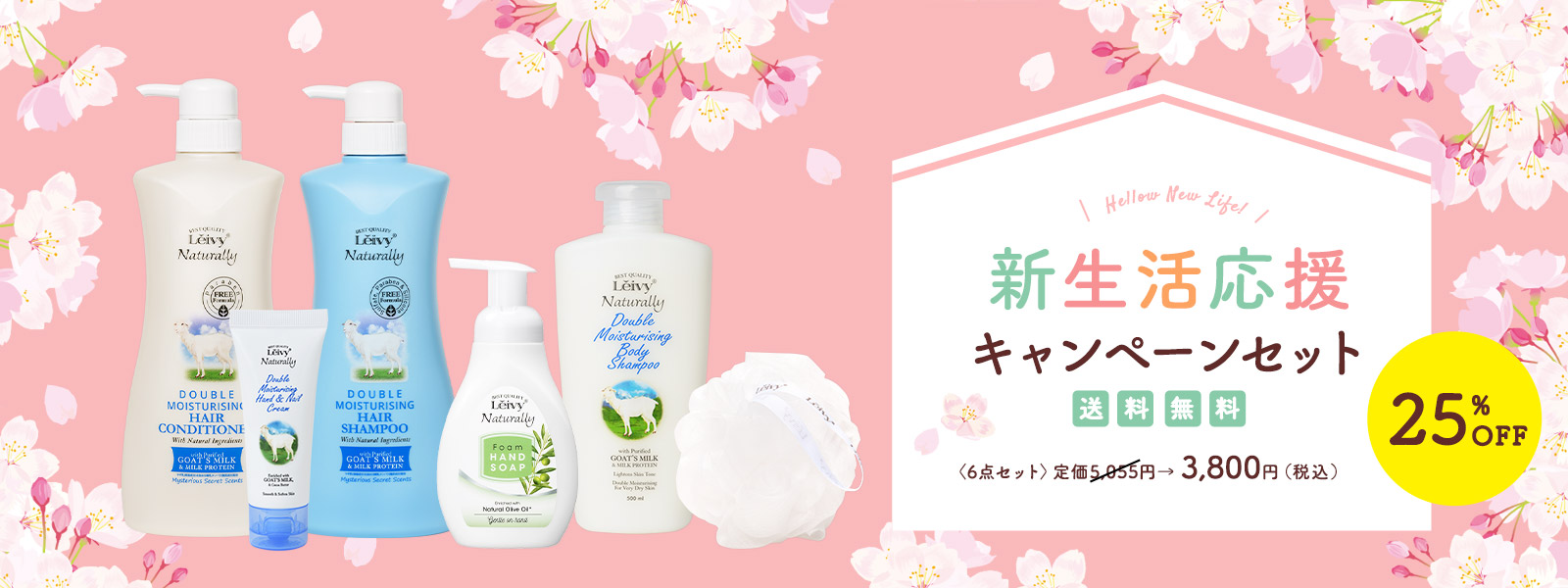 新生活応援キャンペーンセット送料無料25%OFF