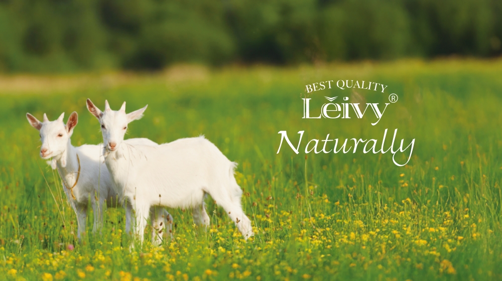 About Leivy Naturally