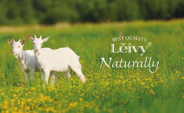 About Leivy Naturally