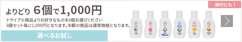 トライアル商品 よりどり6個で1000円