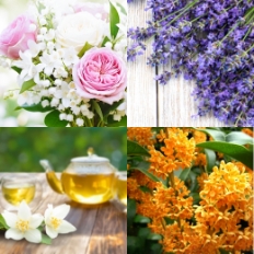 香りのこだわり