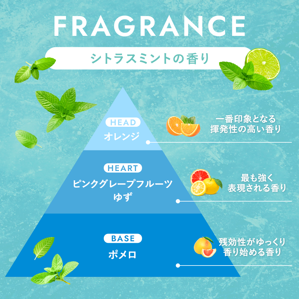 クールボディシャンプー