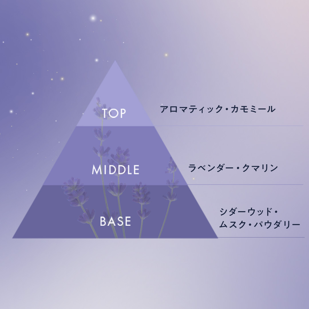 ドリームセントボディシャンプーラベンダー