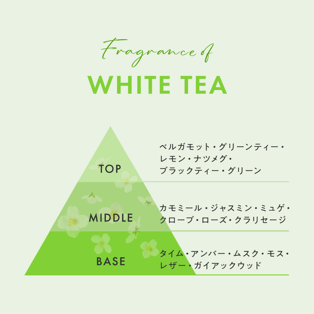 ボディシャンプーホワイトティー