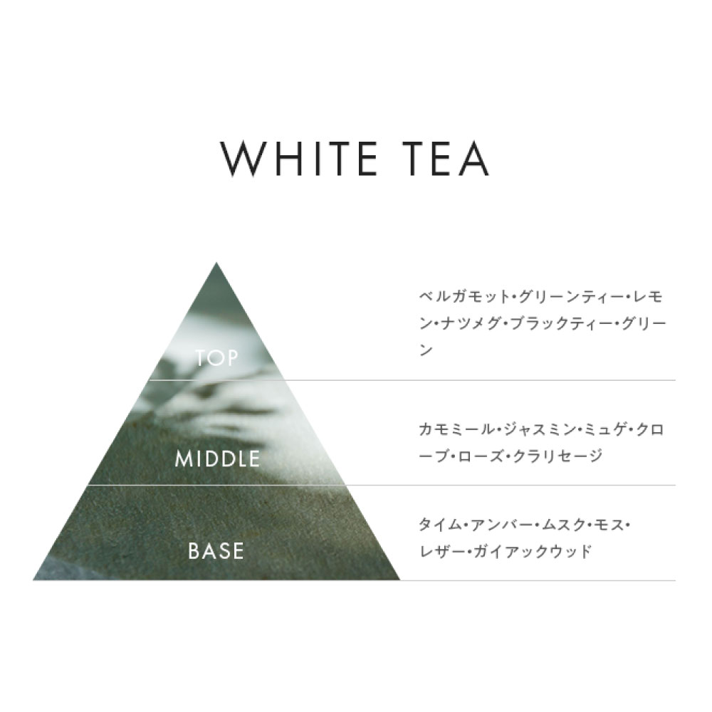 リードデュフューザー