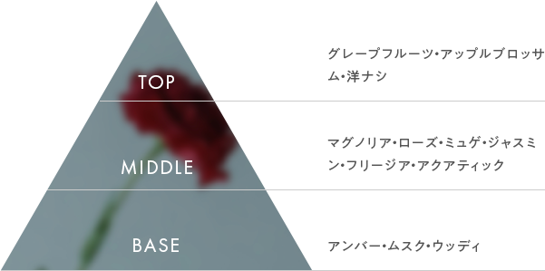 FLORAL FRUITYのチャート