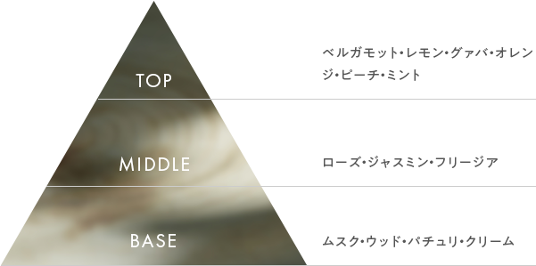 OSMANTHUSのチャート